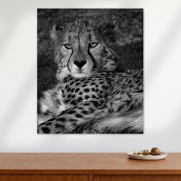 Lazy by Marion van Kints