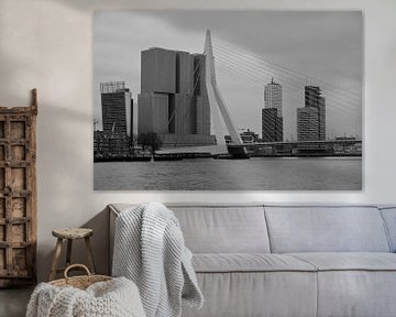 Rotterdam - Erasmusbrug en omgeving - in zwart-wit