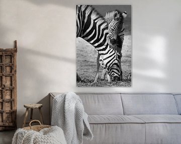 zwart wit zebra met jong in Botswana van Marieke Funke