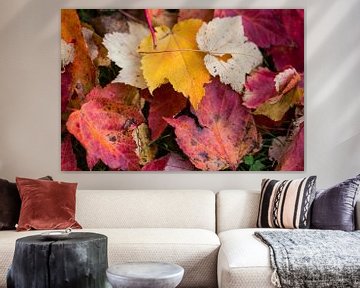 Herfst is een kleuren palet van Gerhard Nel