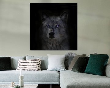 Wolf, Rocky Mountains wolf van Gert Hilbink