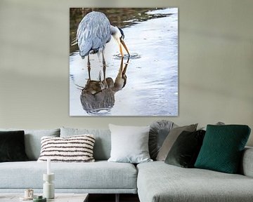 Blue heron sees his / her reflection by Fotografie Jeronimo