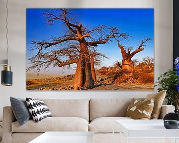Botswanas alte Bäume, Kubu Island