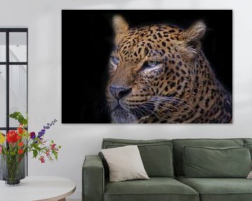 Leopard, Panthera pardus. von Gert Hilbink