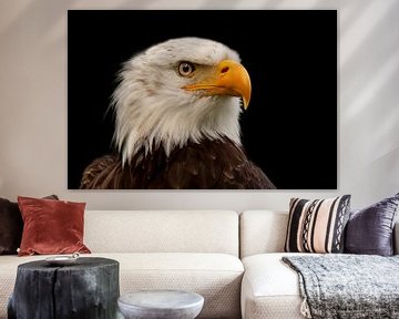 Amerikaanse Bald Eagle van Gert Hilbink