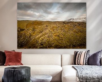 IJslands landschap met mos van Marcel Alsemgeest