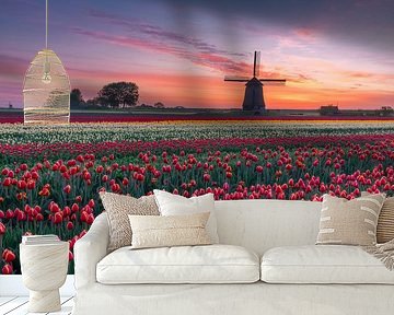 Molen en tulpen