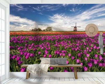 Tulpenveld met molen