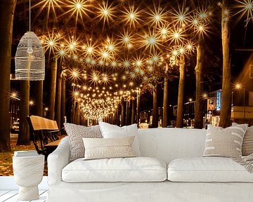 Breda - Belcrum - Speelhuislaan van I Love Breda