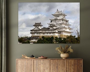 Himeji Castle in Japan van Marcel Alsemgeest