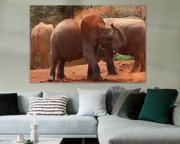 Spelende olifant van Bart Hendriks