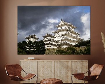 Himeji Castle in Japan van Marcel Alsemgeest