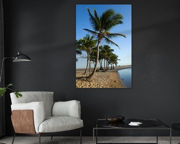 Palmbomen op het strand van Praia de Imbassai, Brazilië. van Kees van Dun