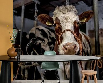 Koeien in oude koeienstal van Inge Jansen