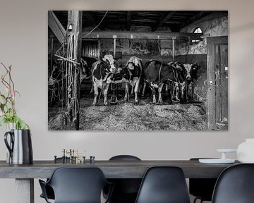 Koeien in oude koeienstal van Inge Jansen