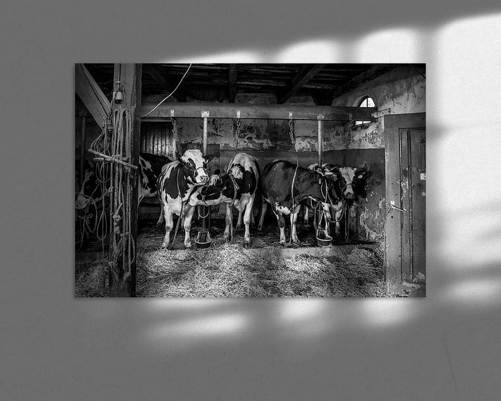Beispiel: Kühe im alten Kuhstall von Inge Jansen