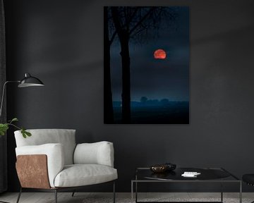 Moon Mystery by Rop Oudkerk