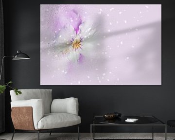 Magic flower with lilac background