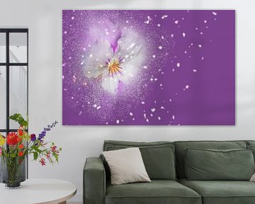 Magic flower with purple backround van Ursula Di Chito