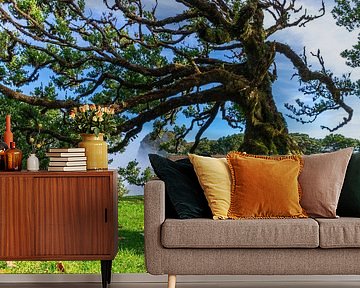 Puur Nature by Freek van den Driesschen