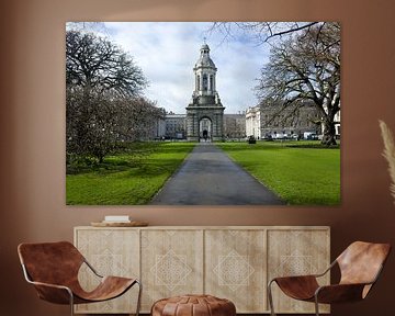 Trinity College, Dublin, Ierland van Kees van Dun