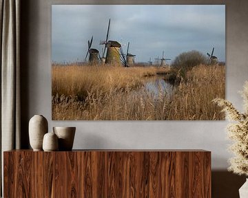 The Mills from Kinderdijk in the Netherlands by Gert Hilbink