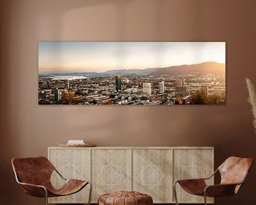 Zurich Waid sur Severin Pomsel