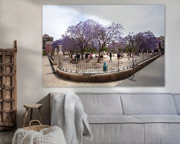 Plaza in Malaga mit violetten Bäumen von Kees van Dun