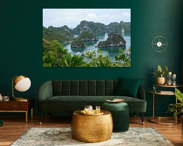 Wereld wonder Halong Bay in Vietnam van Lindy van Oirschot