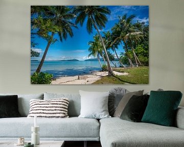 Tropischer Strand auf den Salomon-Inseln von Ron van der Stappen