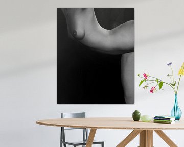 Femme nue –  Etude de nu de Jamie No 7