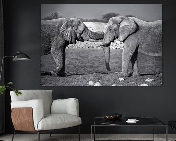 Elefanten-Umarmung von Fotografie Egmond