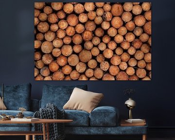 Stapels, stapels boomstammen (naaldhout) van Jeroen Somers