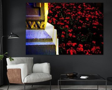 Veld rode rosen aan de voeten van een pilar