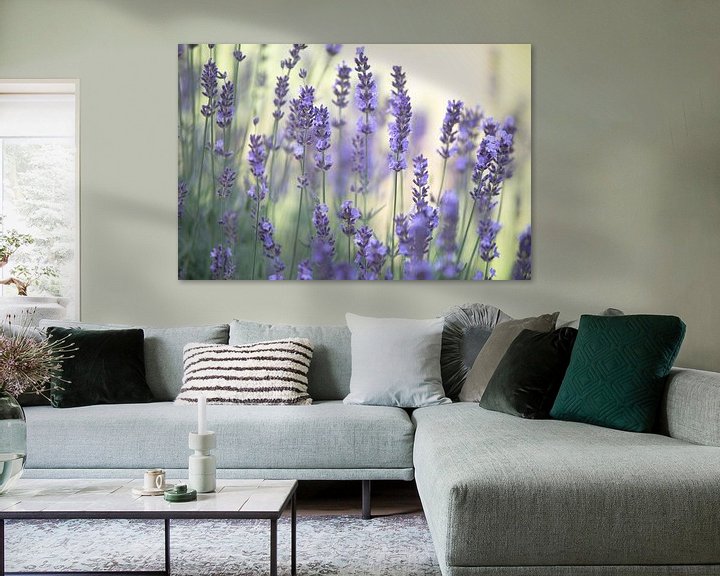 Beispiel: Zarter Lavendel Duft im Sommergarten von Tanja Riedel