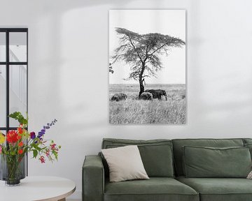 Olifant boom van Bart Hendriks
