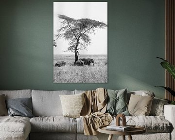 Olifant boom van Bart Hendriks