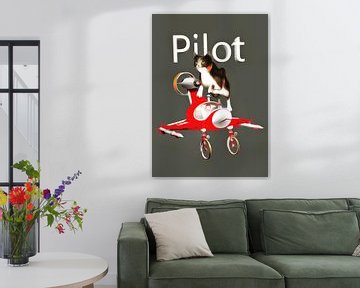 Katten: piloot