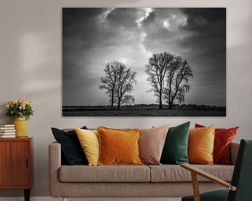 Duos: 2 x 2 trees under a threatening sky by R Smallenbroek