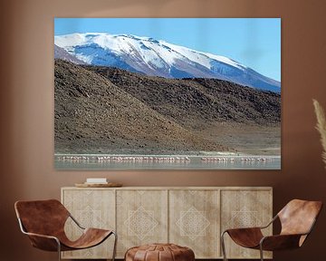 flamingos on Plateau Bolivia by Marieke Funke