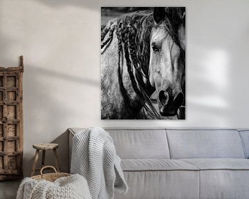 Horse black and white van Michelle De Jong