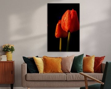 Lente kriebels