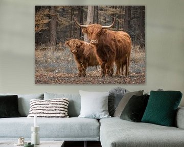 Schotse Hooglander met kalf van Ans Bastiaanssen