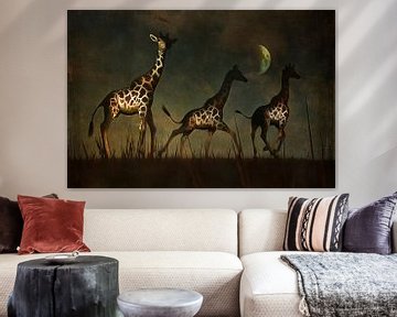 Règne animal –  Girafes fuyant
