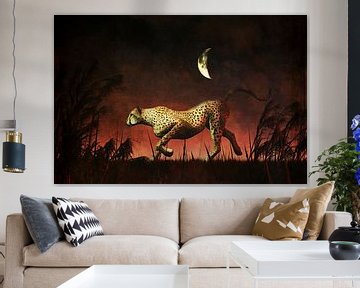 Règne animal –  Chasse au guépard pendant la nuit africaine