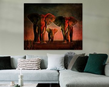 Animal Kingdom – Three elephants look you straight in the eye by Jan Keteleer