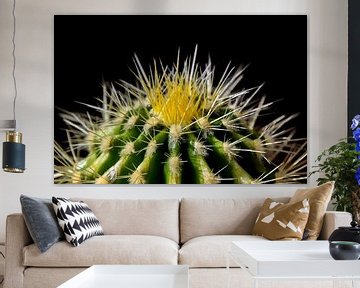 cactus van Fay Kallendorf