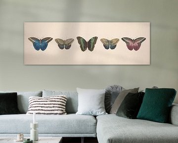 Vintage vlinder collage van antieke tekeningen van Roger VDB