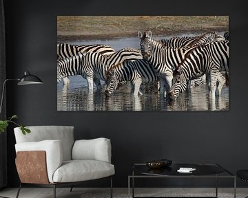 Zebras in Makgadikgadi NP Botswana van Marieke Funke