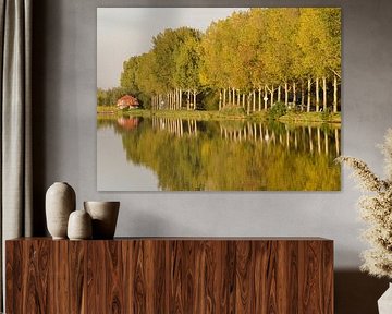 Herfstlandschap